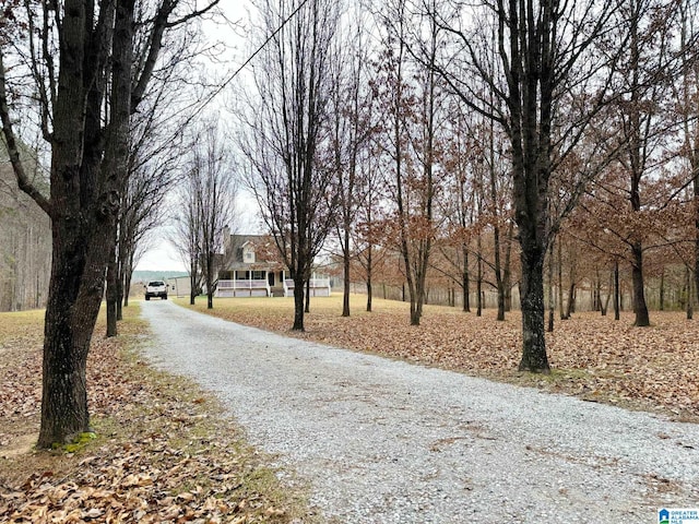 view of road