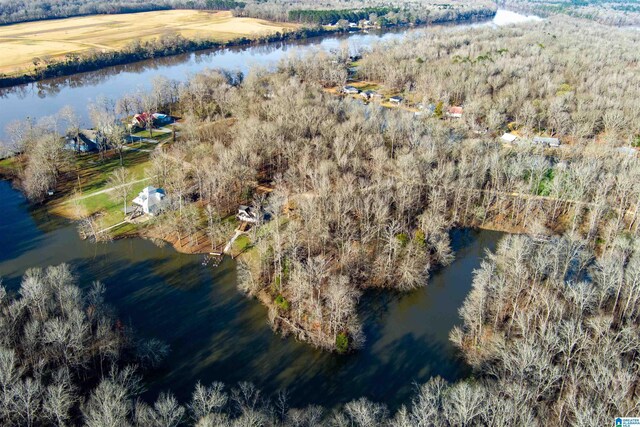 0 River Oaks Landing Cir Unit 41, Orrville, AL 36767