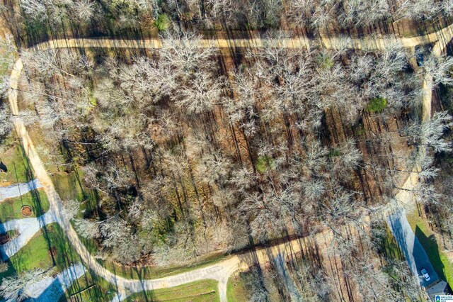 0 River Oaks Landing Cir Unit 41, Orrville, AL 36767