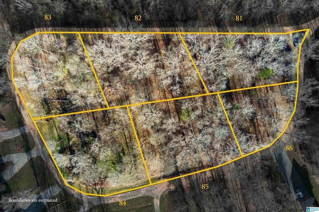 0 River Oaks Landing Cir Unit 41, Orrville, AL 36767