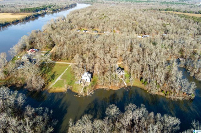 0 River Oaks Landing Cir Unit 41, Orrville, AL 36767