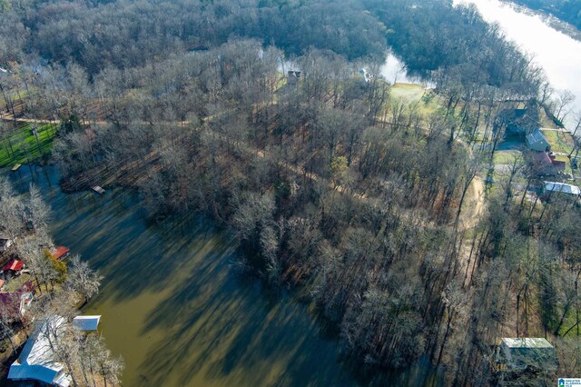 0 River Oaks Landing Cir Unit 41, Orrville, AL 36767