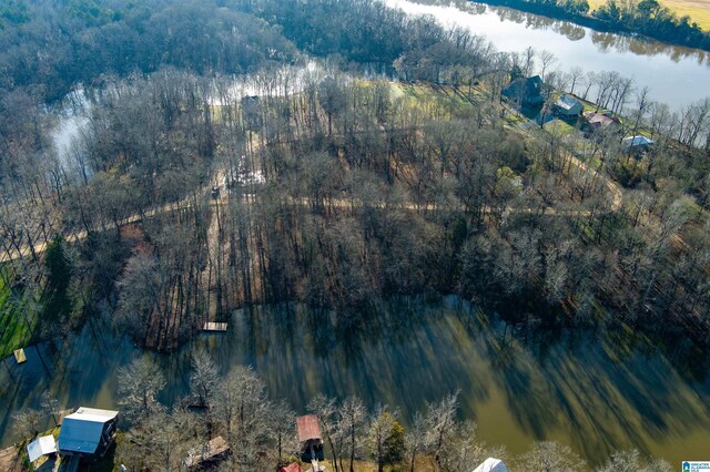 0 River Oaks Landing Cir Unit 41, Orrville, AL 36767