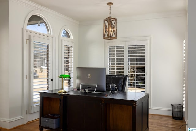 office space featuring ornamental molding, a wealth of natural light, and wood finished floors