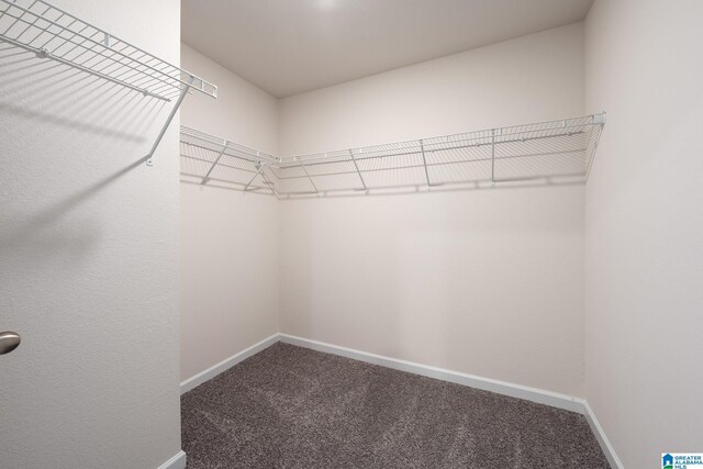 walk in closet with carpet