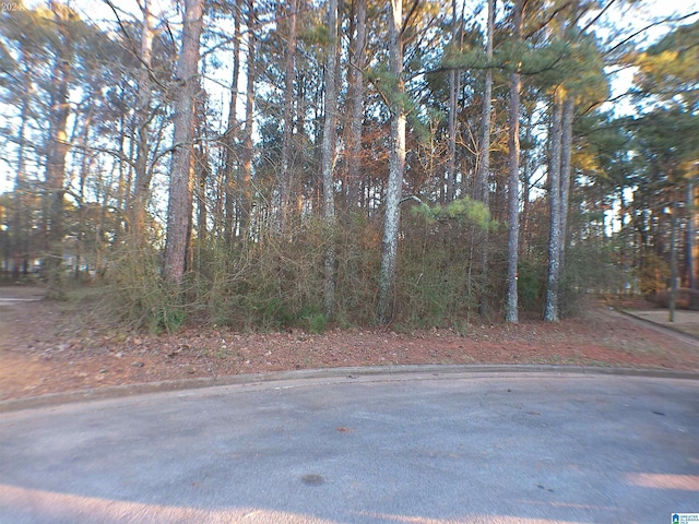 0 Carrie Ct SW Unit 68, Jacksonville AL, 36265 land for sale