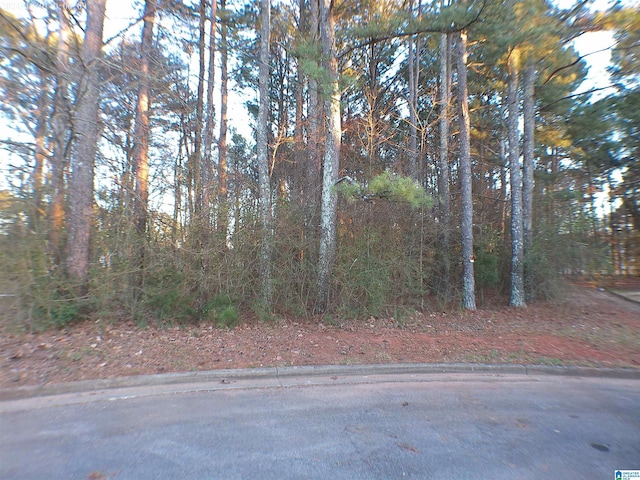 Listing photo 2 for 0 Carrie Ct SW Unit 68, Jacksonville AL 36265