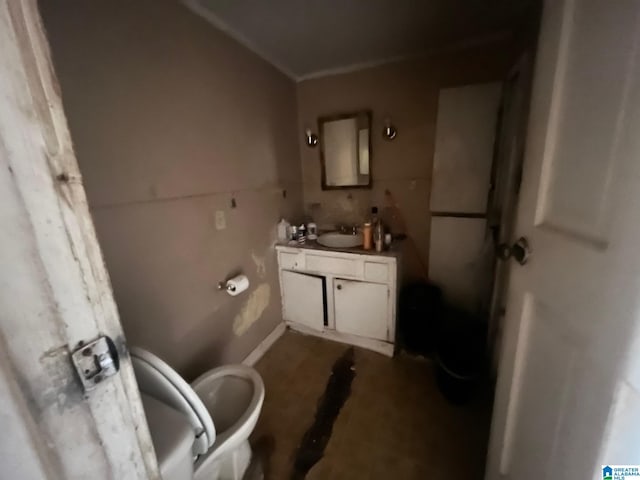 bathroom with toilet and vanity