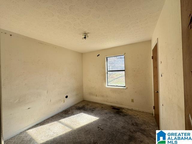 spare room featuring a textured ceiling and carpet floors