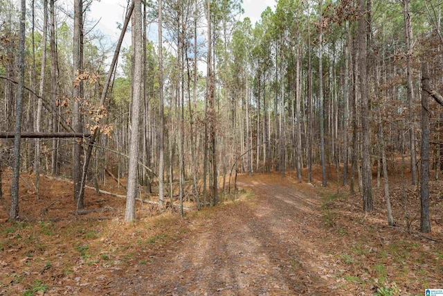 view of road with a wooded view