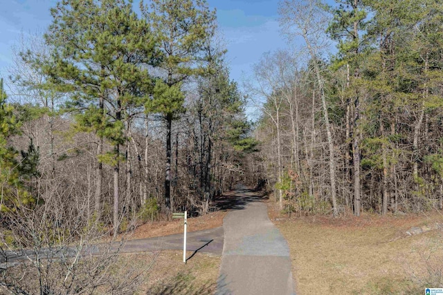 view of road featuring a wooded view