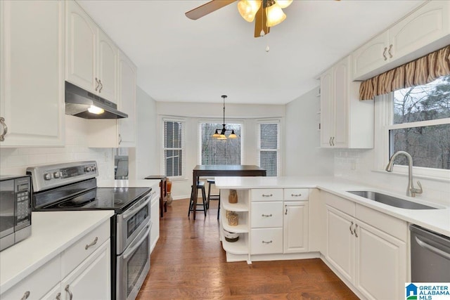 kitchen featuring appliances with stainless steel finishes, a sink, white cabinets, and under cabinet range hood