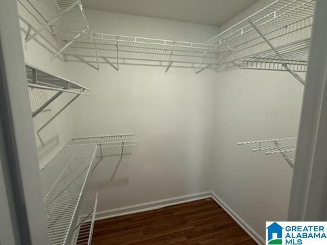 spacious closet featuring dark wood-style floors