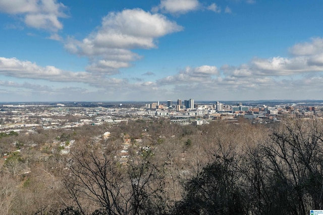 birds eye view of property featuring a view of city