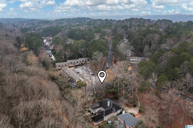 bird's eye view with a forest view