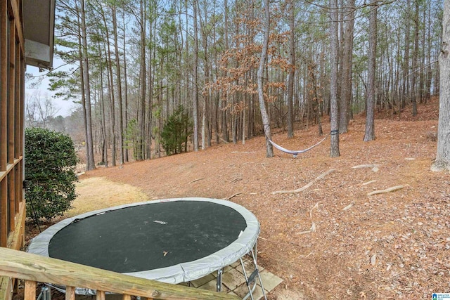 view of yard featuring a trampoline