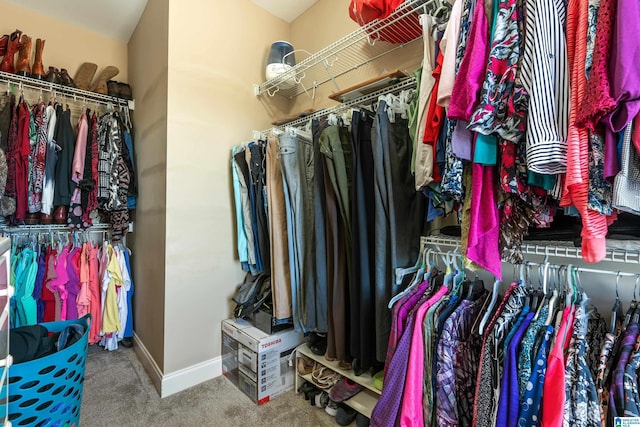 spacious closet with carpet flooring