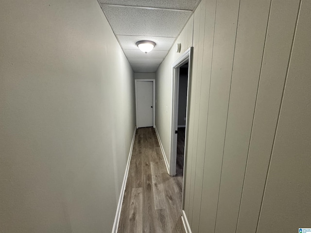 hall featuring baseboards, a drop ceiling, and light wood-style floors