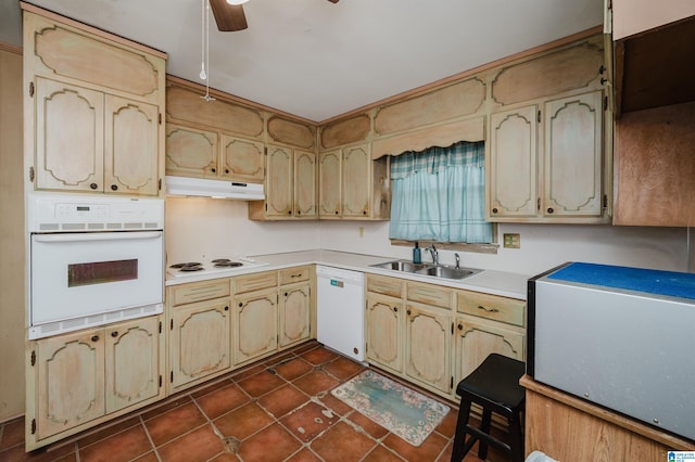 kitchen with under cabinet range hood, white appliances, a sink, a ceiling fan, and light countertops