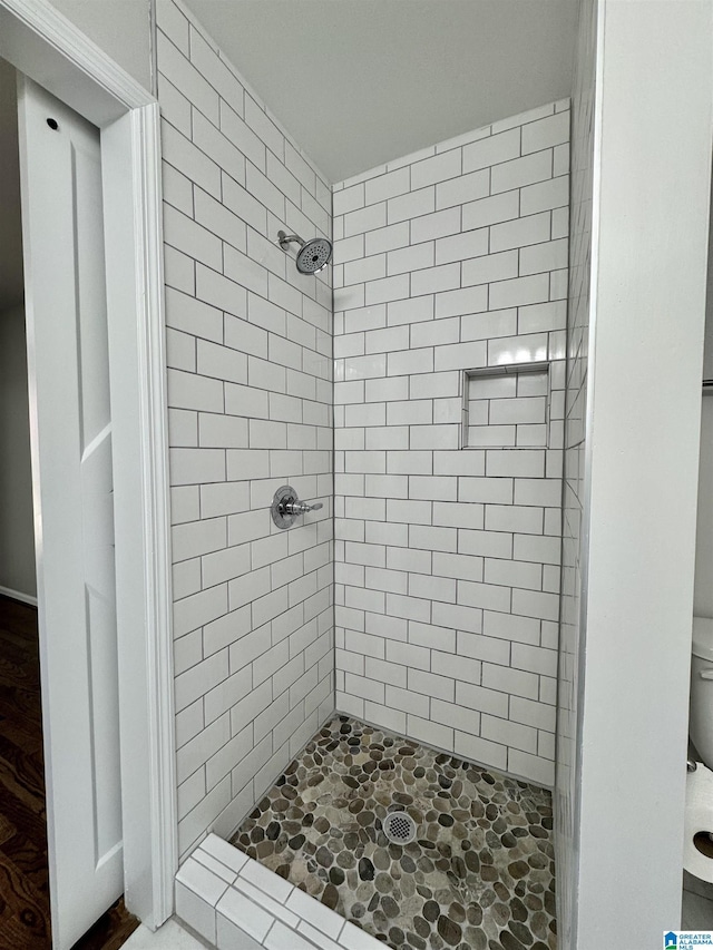 bathroom with a shower stall and toilet