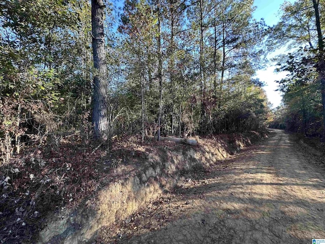 Listing photo 3 for 3 County Road 176 Unit 5484, Clanton AL 35046