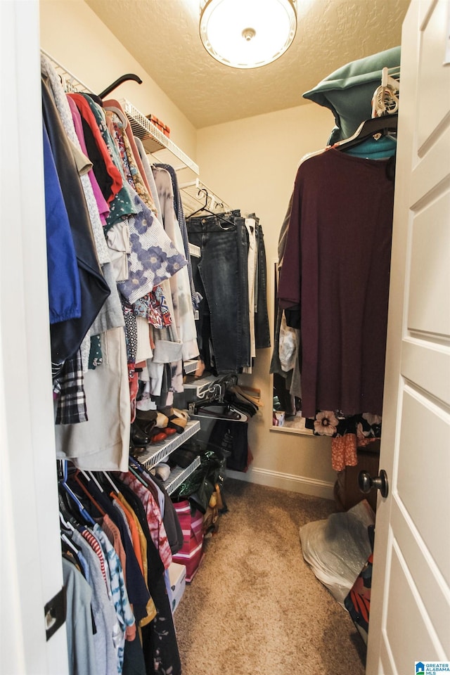 spacious closet with carpet flooring