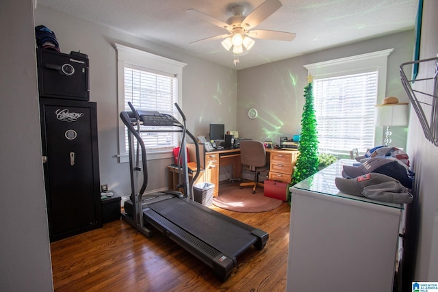 exercise room featuring a ceiling fan, dark wood-type flooring, and a wealth of natural light