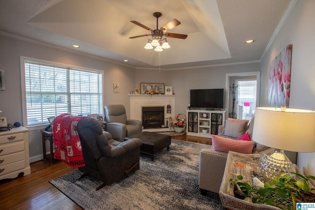 living room with ornamental molding, a tray ceiling, dark wood-style flooring, and plenty of natural light