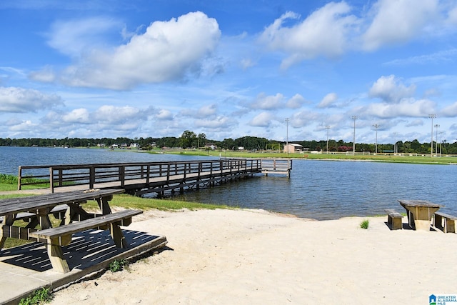 dock area with a water view