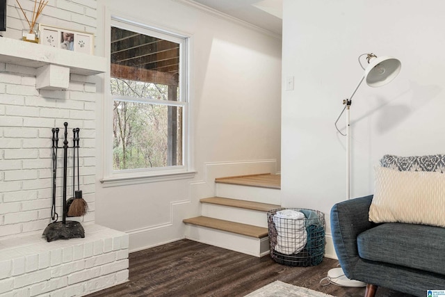 mudroom with dark wood-style floors and crown molding