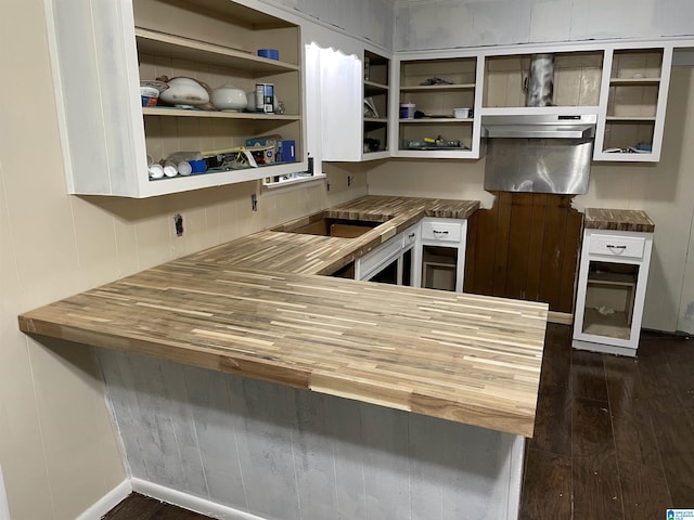 kitchen with dark wood-type flooring, under cabinet range hood, wood counters, and open shelves