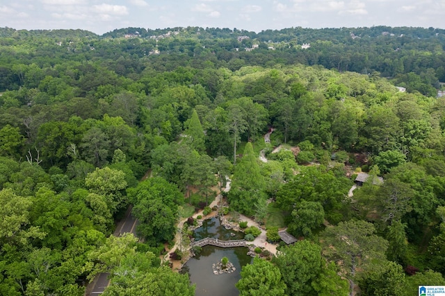 drone / aerial view with a water view and a view of trees