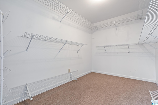 spacious closet featuring carpet flooring