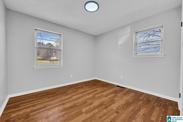 interior space with multiple windows, baseboards, and wood finished floors