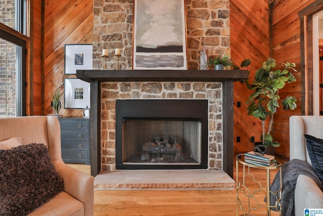 room details with wood walls and a stone fireplace