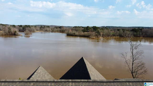 view of dock featuring a water view and a view of trees