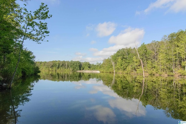 51 Nolen St, Birmingham, AL 35242 - view of water feature featuring a forest view