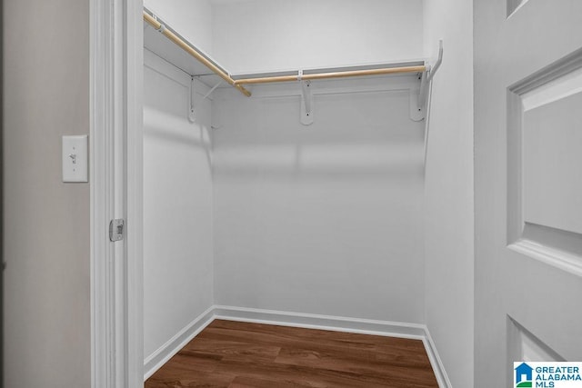 walk in closet with dark wood finished floors