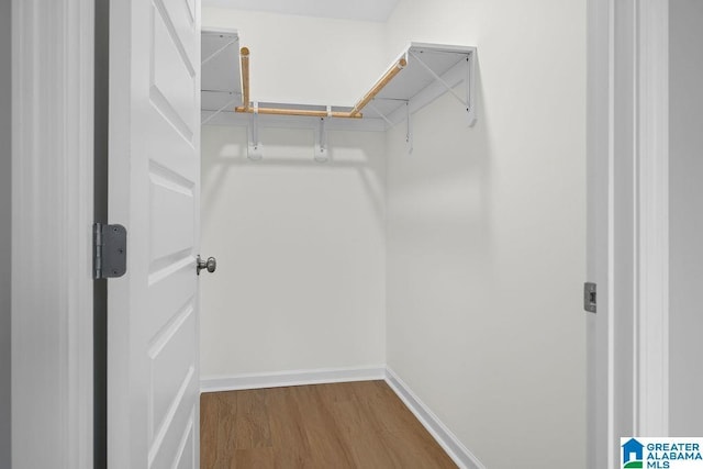 walk in closet featuring wood finished floors