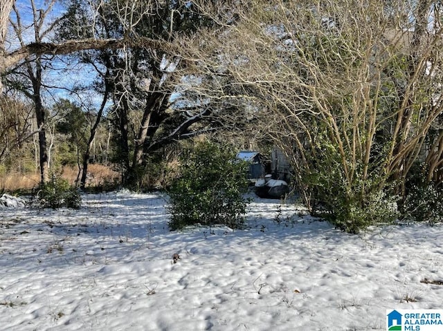 view of yard covered in snow