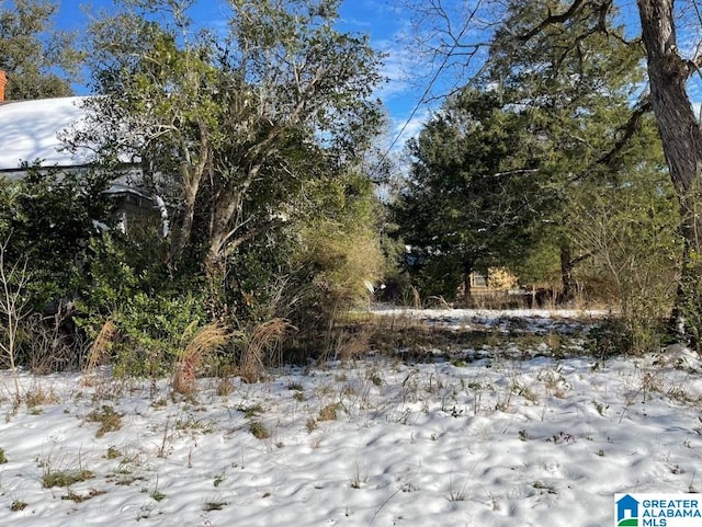 view of snowy view