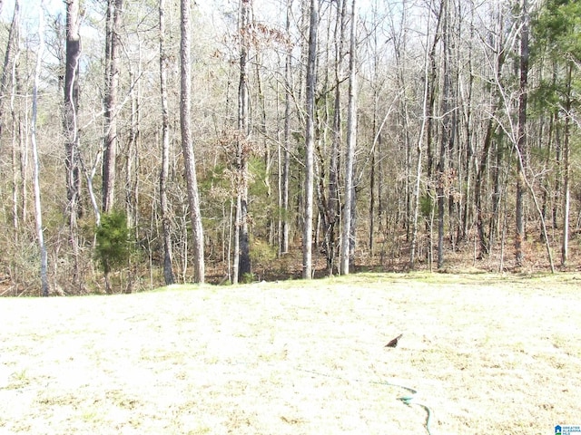 view of local wilderness with a forest view