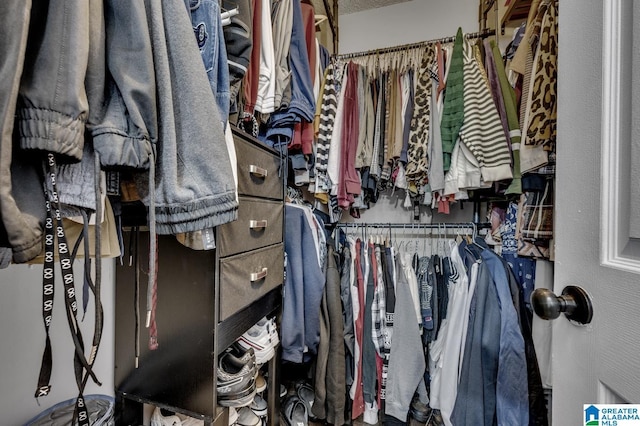 view of spacious closet