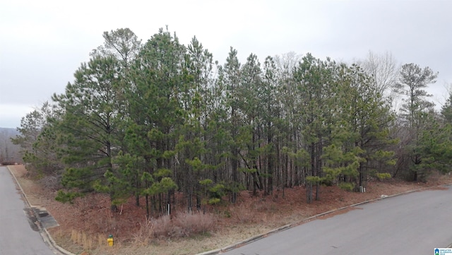 2000 Melbourne Cir Unit 327, Bessemer AL, 35022 land for sale