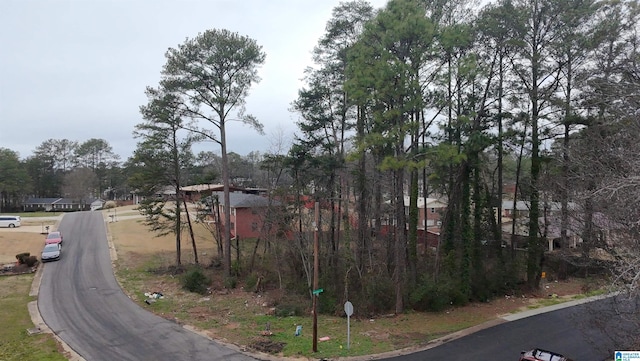 1007 Beaumont Rd Unit 6, Bessemer AL, 35022 land for sale