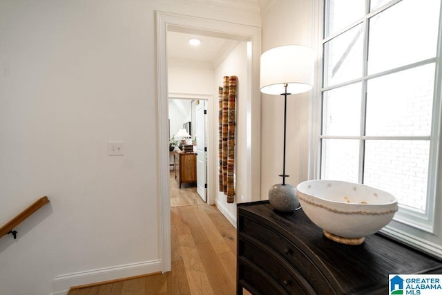 bathroom with a healthy amount of sunlight, baseboards, and wood finished floors