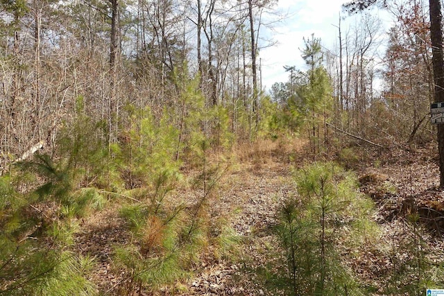 6.02ACRES County Road 329 Unit 00, Wedowee AL, 36278 land for sale