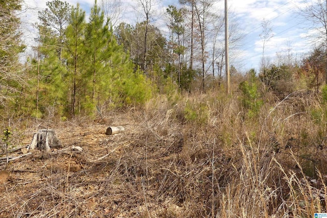 Listing photo 2 for 6.02ACRES County Road 329 Unit 00, Wedowee AL 36278