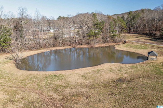 view of water feature