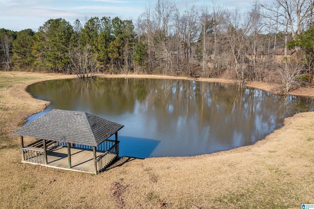 view of dock featuring a water view and a forest view